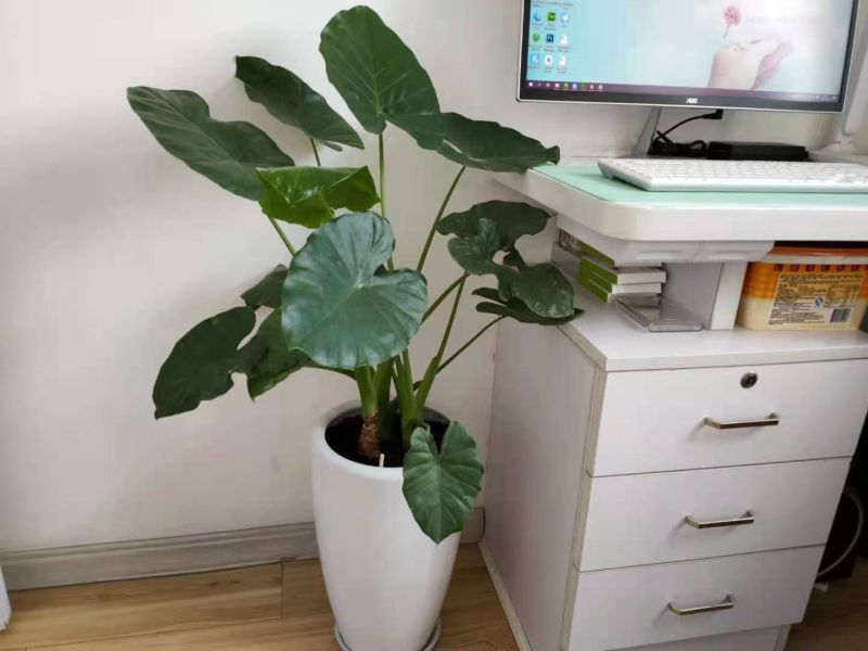 您可以在图片列表修改这条介绍