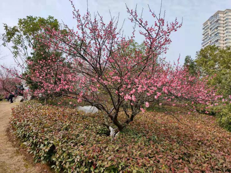 您可以在图片列表修改这条介绍